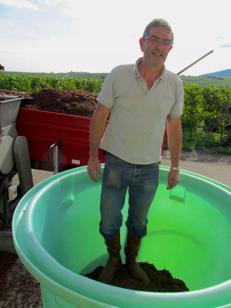 michel windholtz gewurztraminer